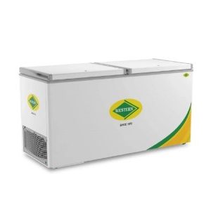 425-Liters Western Deep Freezer